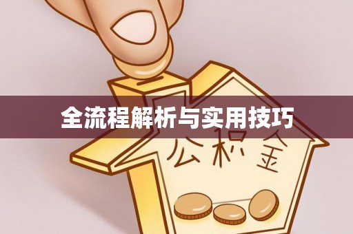 和硕全流程解析与实用技巧