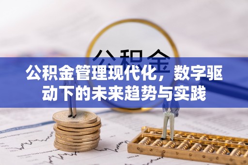 和硕公积金管理现代化，数字驱动下的未来趋势与实践