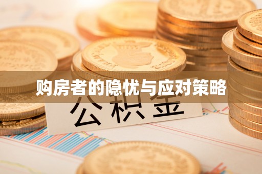 和硕购房者的隐忧与应对策略