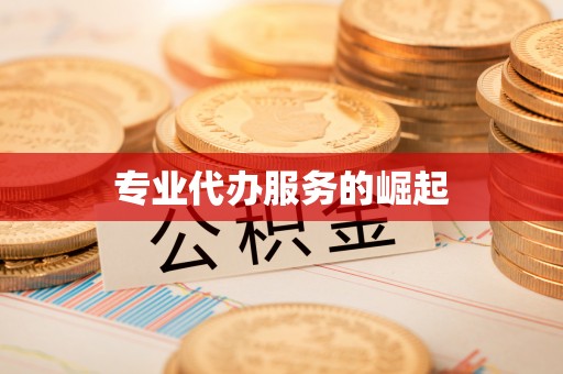 和硕专业代办服务的崛起