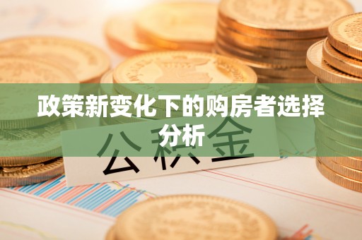和硕政策新变化下的购房者选择分析
