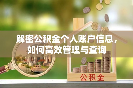 和硕解密公积金个人账户信息，如何高效管理与查询