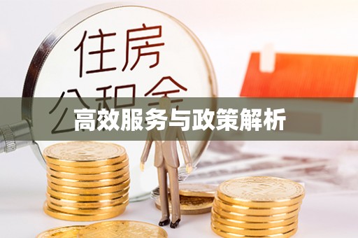 和硕高效服务与政策解析