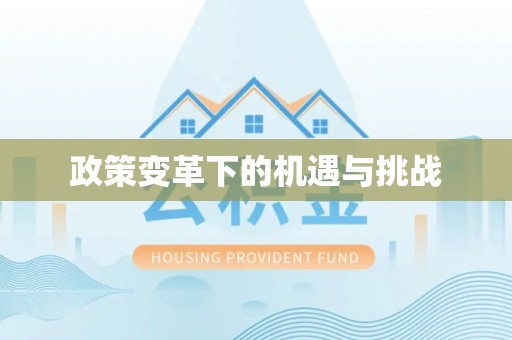 和硕政策变革下的机遇与挑战