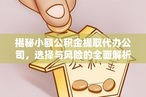 和硕揭秘小额公积金提取代办公司，选择与风险的全面解析
