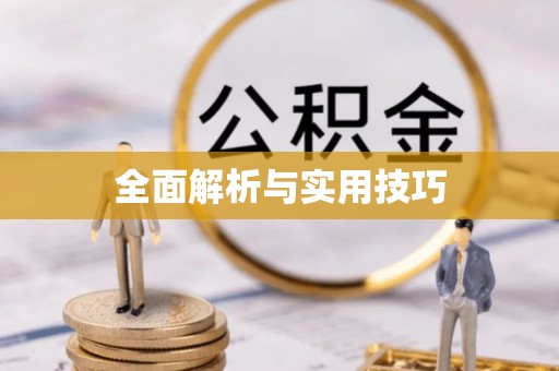 和硕全面解析与实用技巧