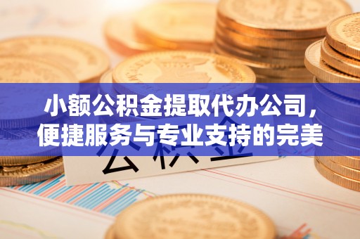 和硕小额公积金提取代办公司，便捷服务与专业支持的完美结合