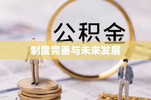 和硕制度完善与未来发展