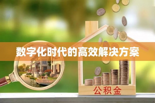 和硕数字化时代的高效解决方案