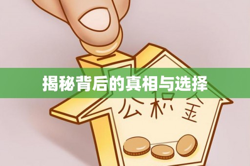 和硕揭秘背后的真相与选择