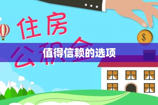 和硕值得信赖的选项