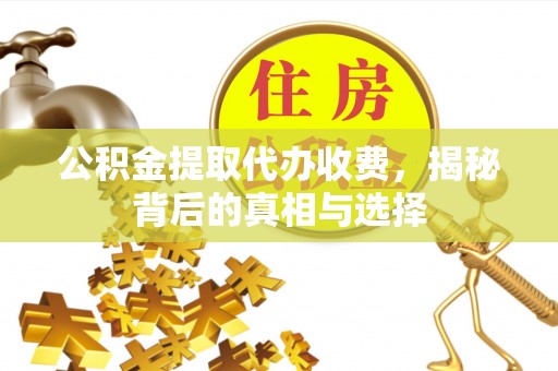 和硕公积金提取代办收费，揭秘背后的真相与选择