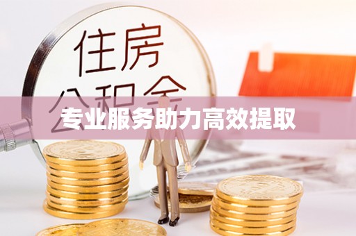和硕专业服务助力高效提取