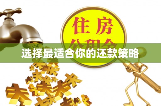 和硕选择最适合你的还款策略