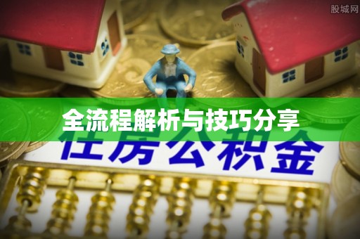 和硕全流程解析与技巧分享
