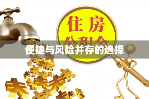 和硕便捷与风险并存的选择